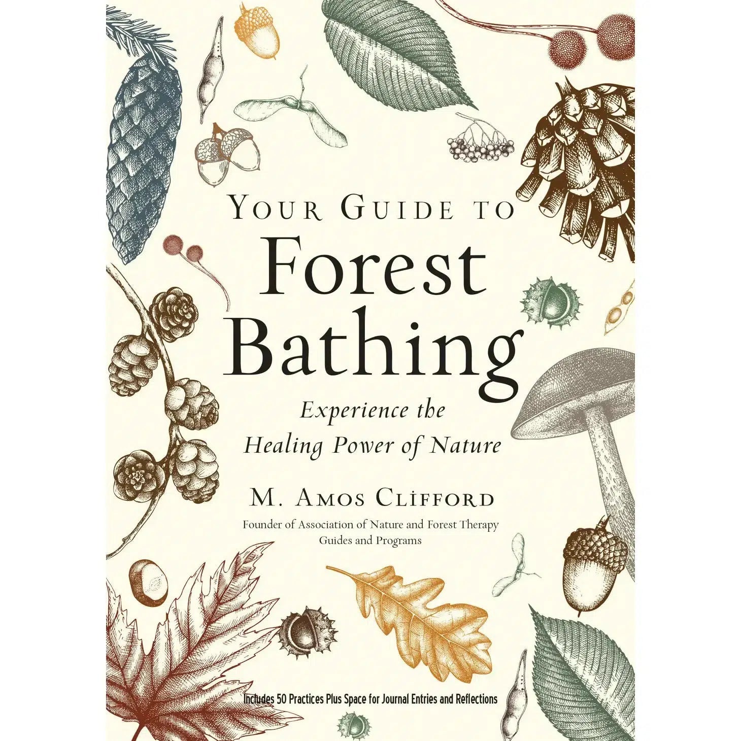 Your Guide To Forest Bathing – The Bernice Garden